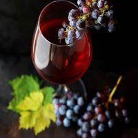 Un ‘rioja’ gran reserva y un cava ecológico, los mejores vinos de España de 2021