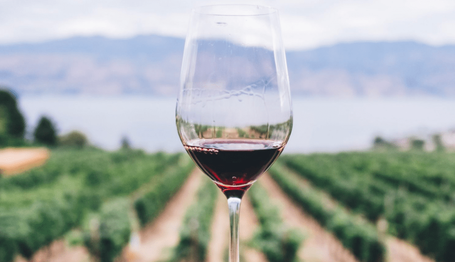 Bodeví lanza una nueva web que acerca los pequeños viticultores a los amantes del vino