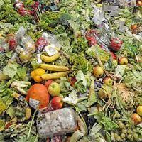 Corner «low cost» de fruta fea en los supermercados y tupper en los bares: claves de la nueva ley para evitar el desperdicio