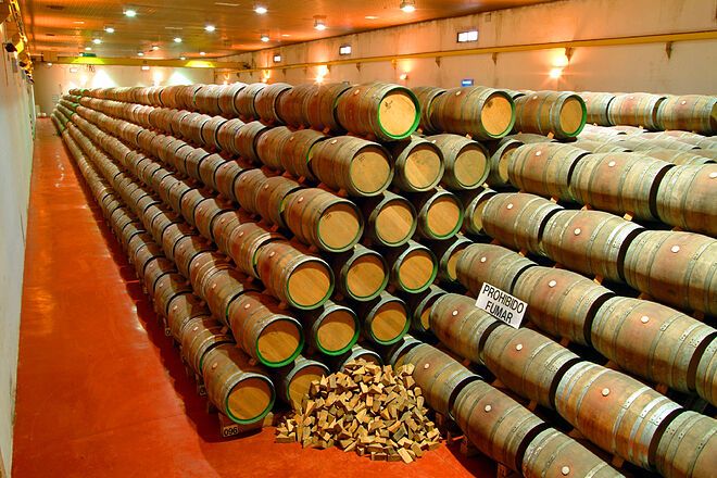 Félix Solís eleva ventas y beneficios en plena pandemia