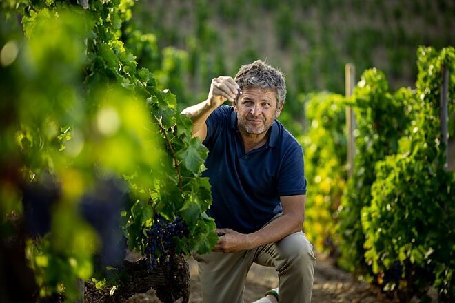 El enólogo y productor Álvaro Palacios: «El vino es magia, embrujo y leyenda»