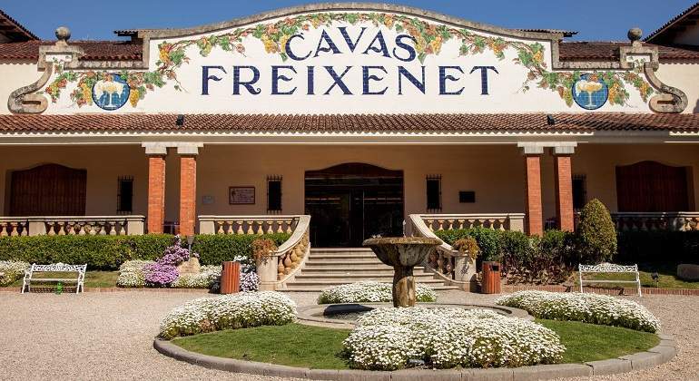 Freixenet ampliará su bodega con 30 millones hasta 2024