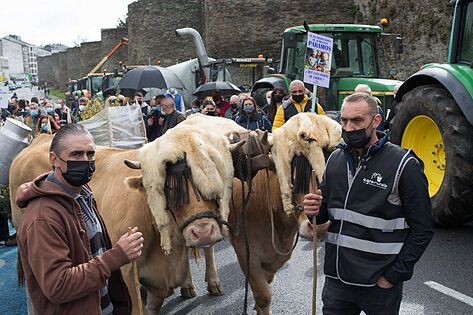 Los productores de leche detendrán el suministro a partir de la próxima semana si los precios no suben un 24%