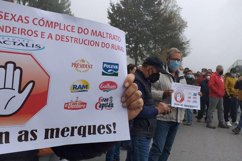 Lactalis, en guerra con los ganaderos, duplicó beneficios en España el año del Covid