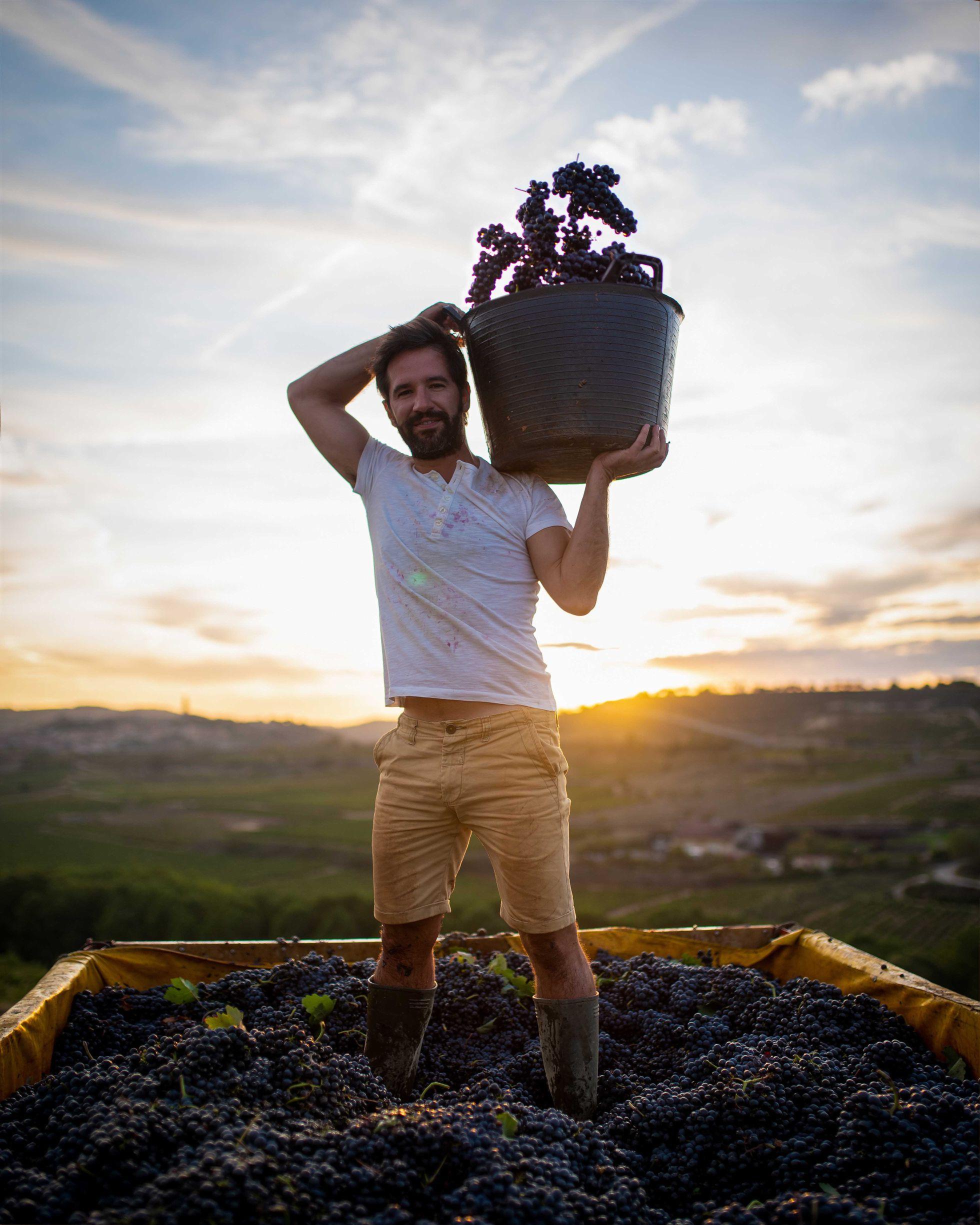 El sector del vino da por superado el bache del Covid: el consumo sigue creciendo en España en 2022