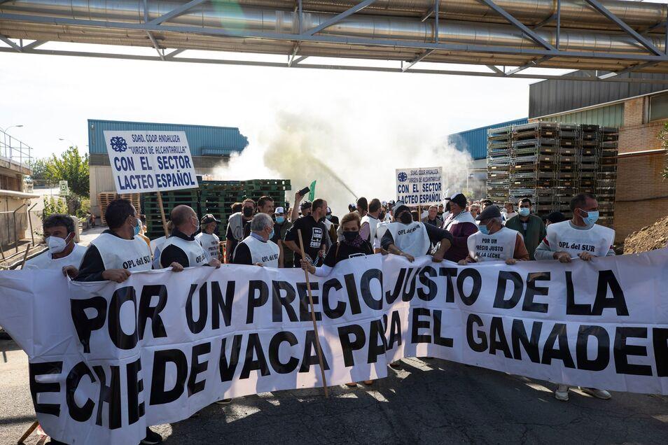 Los productores de leche, al límite: «Se están riendo de nosotros»