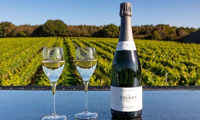 Henkell Freixenet compra una bodega para entrar en espumosos británicos
