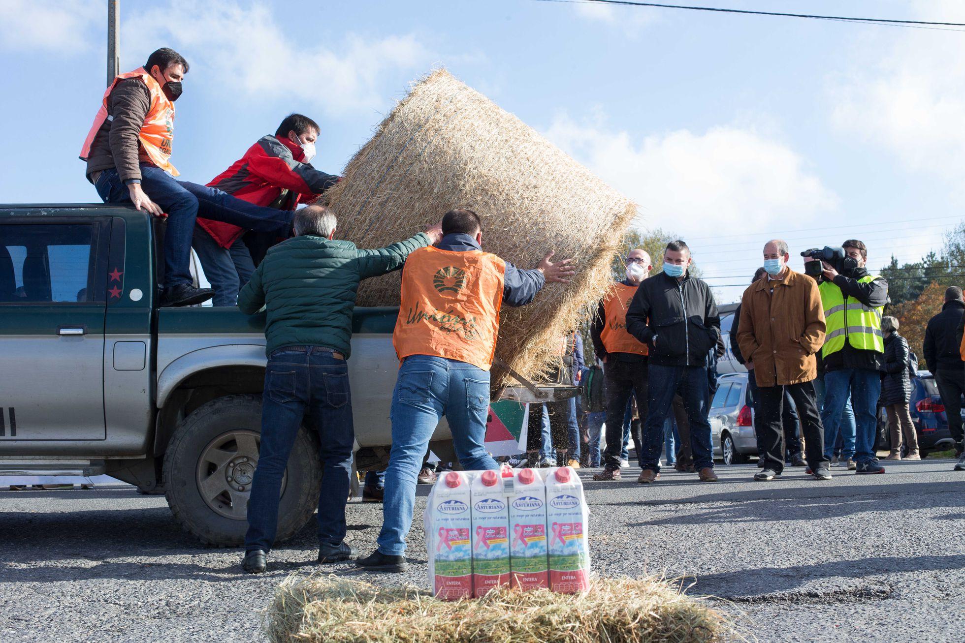 Agricultura modificará los contratos del sector lácteo para evitar márgenes bajos que pongan en peligro su viabilidad
