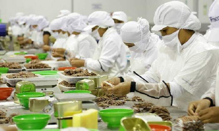 Eva Muñoz, de El Corte Inglés, nueva presidenta del Comité de Seguridad Alimentaria de Aecoc