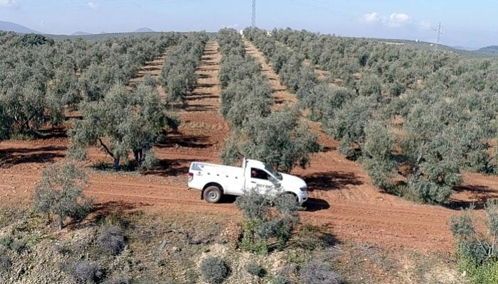 La Sección de Suministros de Dcoop supera los 120 millones de facturación