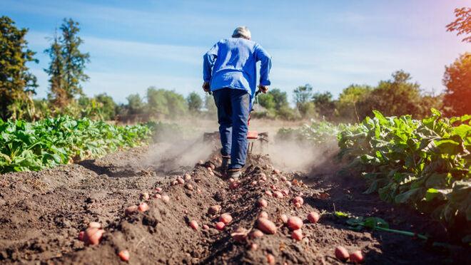 La guerra en Ucrania también ataca al sector agroalimentario español￼