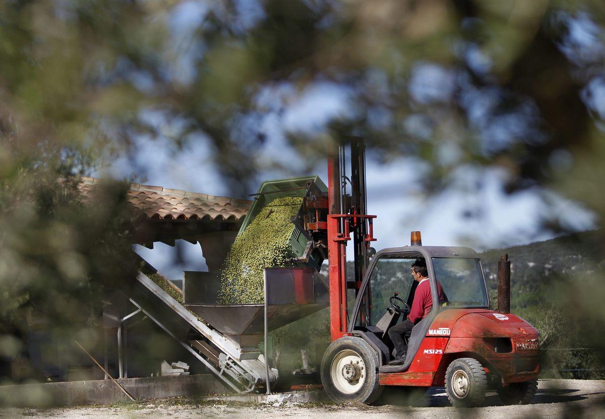 El sector agroalimentario español teme nuevos embargos si escala el conflicto Rusia-Ucrania