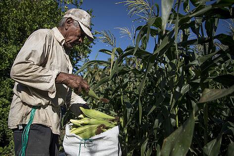 La guerra de Ucrania da un vuelco en un mes a la alimentación mundial
