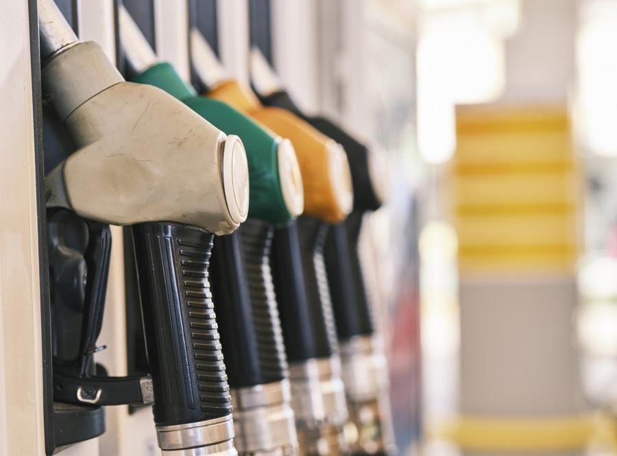 Portugal y Francia bonificarán el gasóleo, mientras el Gobierno español sigue sin concretar sus medidas ￼