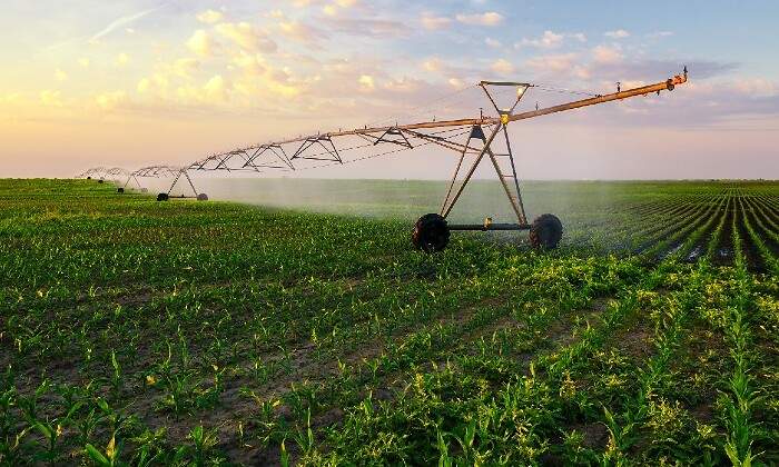 La invasión de Ucrania agrava la crisis del campo español