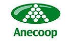 Anecoop teme una sobreoferta hortofrutícola en Europa por el bloqueo a Rusia