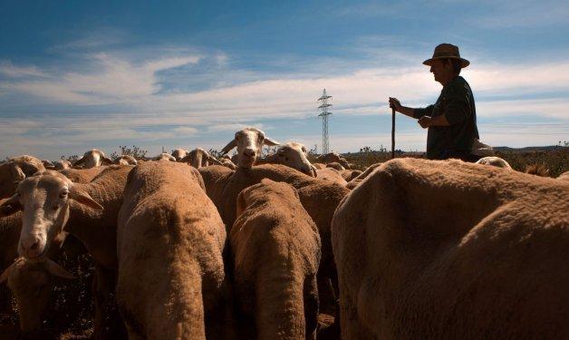 Una cadena alimentaria más digital tras la pandemia enfrenta ahora una guerra￼