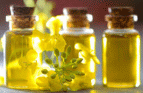 España se tiñe de amarillo con el auge de la colza