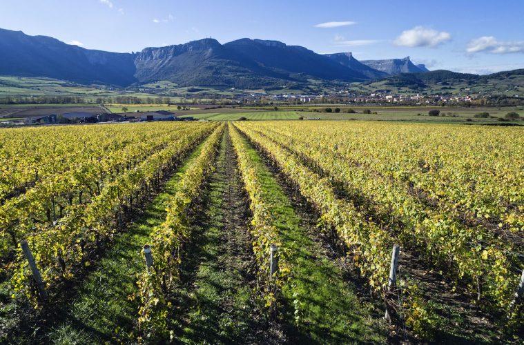 Suben las exportaciones de vino en facturación y bajan en volumen