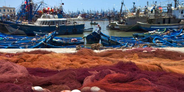 Bruselas propone un segundo paquete de medidas de crisis para apoyar a la pesca y la acuicultura￼