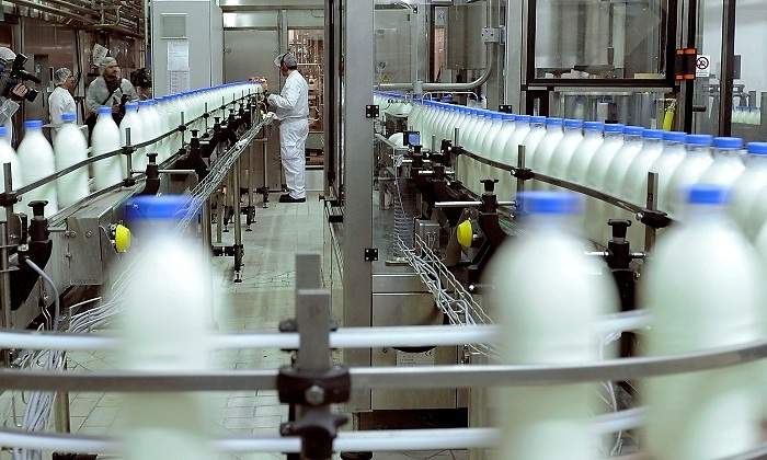 Siete mil ganaderos reclamarán 800 millones a las lácteas por pactar precios