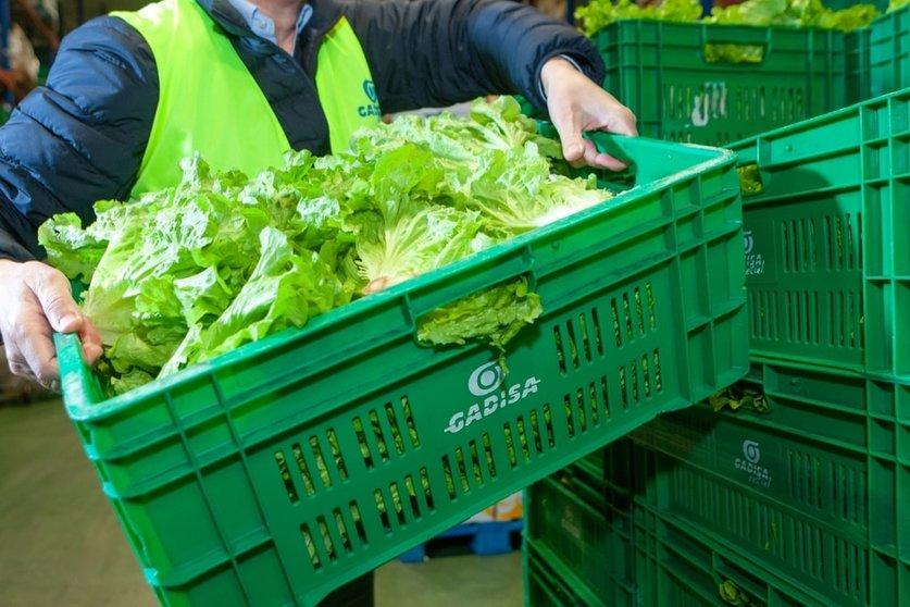 Gadisa Retail destinó 390 millones de euros a compras a un millar de productores locales