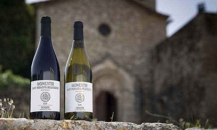 Raventós Codorníu debuta en vinos Penedès con cinco nuevas marcas