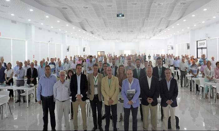 Uno de cada cinco litros de aceite virgen extra que se vende en EEUU es de Dcoop