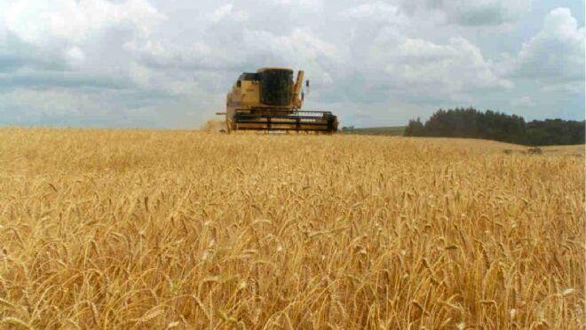 Los países mediterráneos urgen a desbloquear el cereal de Ucrania￼