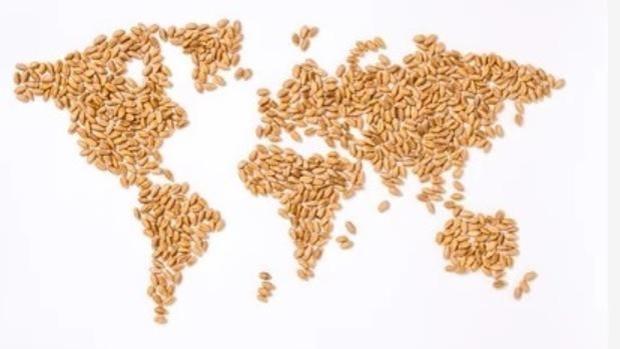 La crisis alimentaria desata una batalla por las nuevas despensas globales y los fertilizantes son una bomba de relojería latente