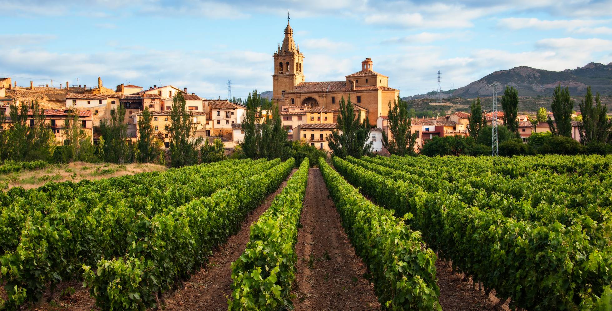 El vino español fija su hoja de ruta para aumentar su valor en cinco años￼