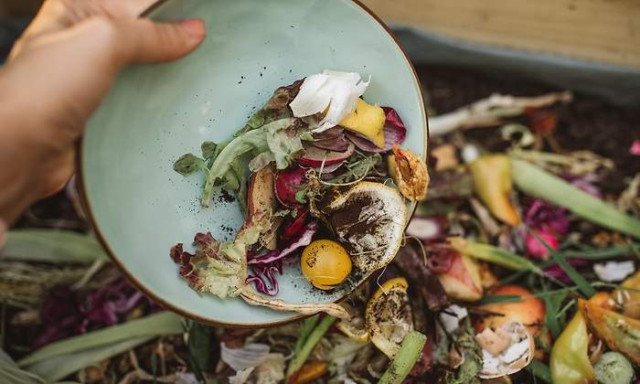 El Consejo Económico y Social considera poco clara la ley de desperdicio alimentario