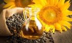 El calor arruina la producción de aceite de girasol, asfixiado por la sequía y la Guerra de Ucrania
