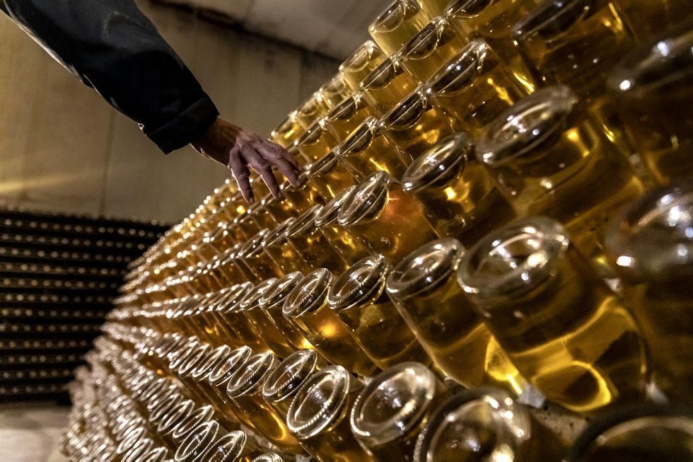 Requena y Almendralejo rompen el monopolio catalán y colocan un vocal en el Consejo Regulador del cava