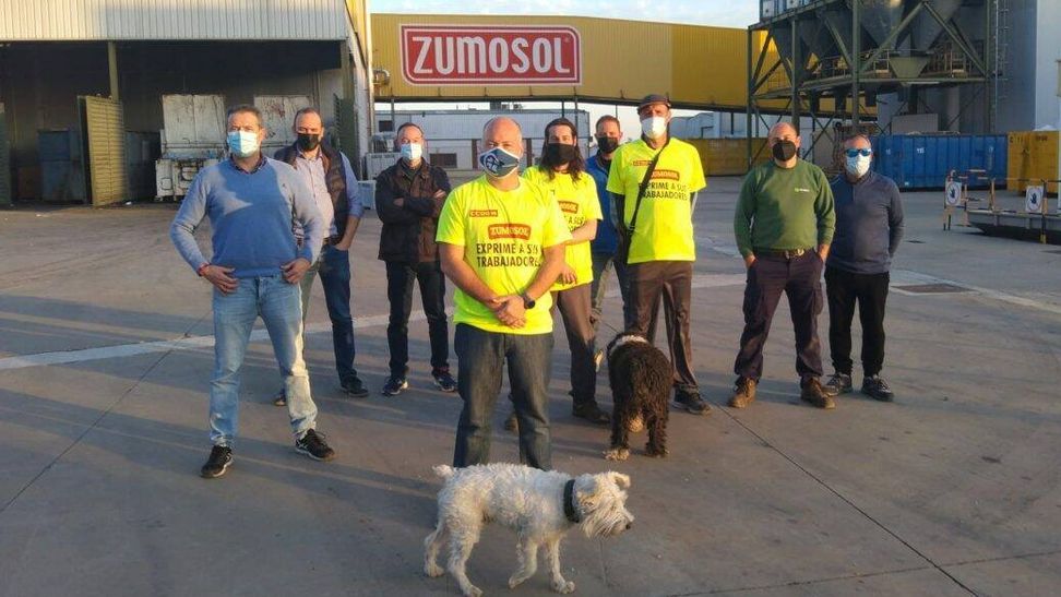El primo, el único que salió bien parado: historia del triste final de Zumosol