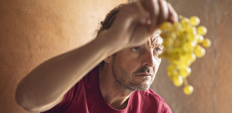 Raventós i Blanc cosecha la mejor cifra de ventas de la historia de la bodega￼