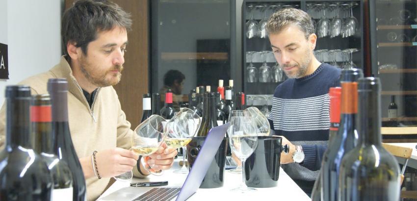 Los vinos galardonados con 100 puntos por la Guía Peñín, analizados al detalle￼