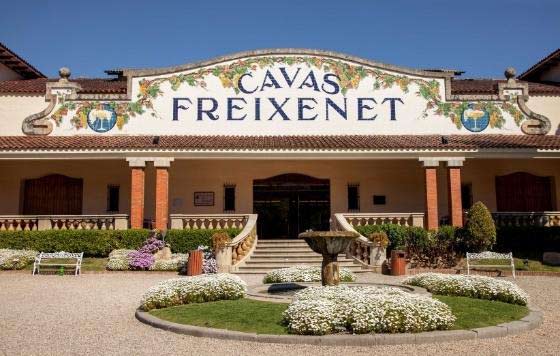 Freixenet se posiciona como el principal comprador de uva del mercado del cava ￼￼