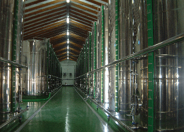 Nueva subida de precios de los aceites de oliva en origen