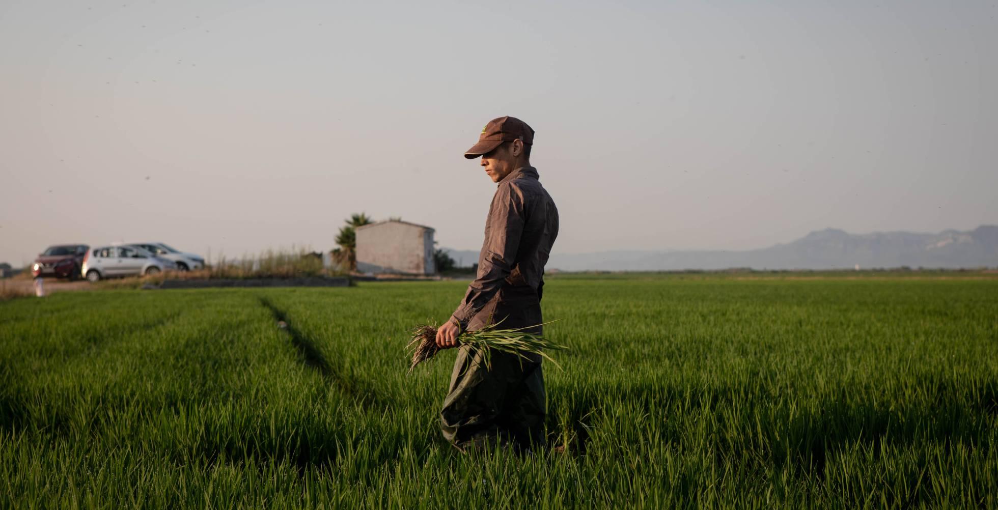 Del campo a la mesa: así se dispara hasta un 500% el precio de los alimentos en España