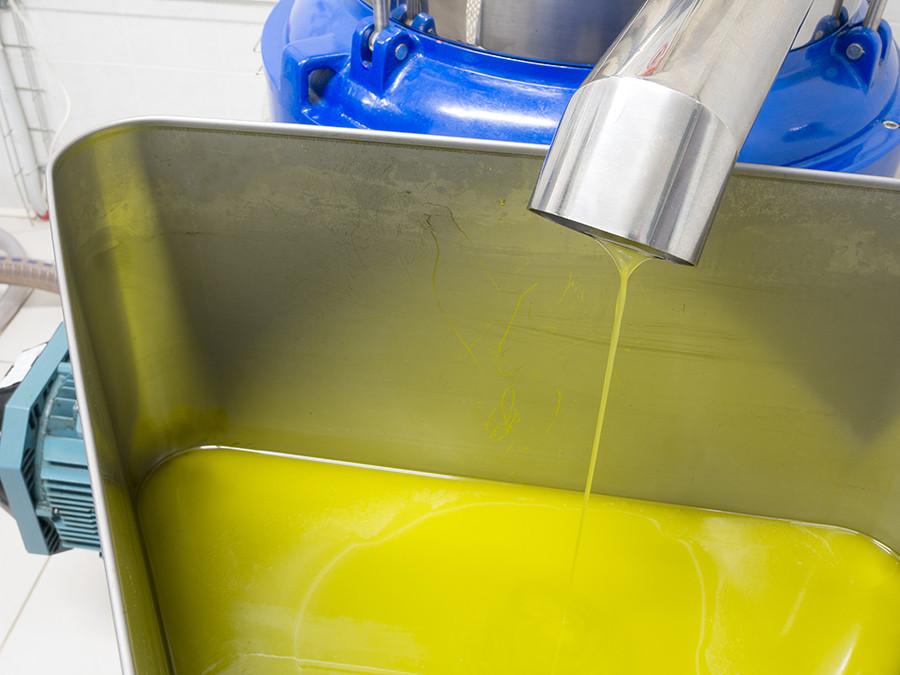 Agosto mantiene un buen ritmo de comercialización del aceite de oliva