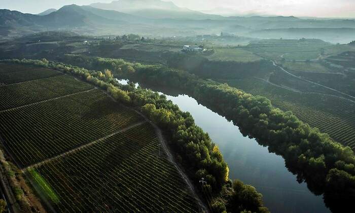Rioja blinda sus viñedos ante el intento del Gobierno vasco de romper la denominación