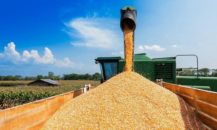 La sequía encarecerá un 10% el precio de los cereales más usados en alimentación