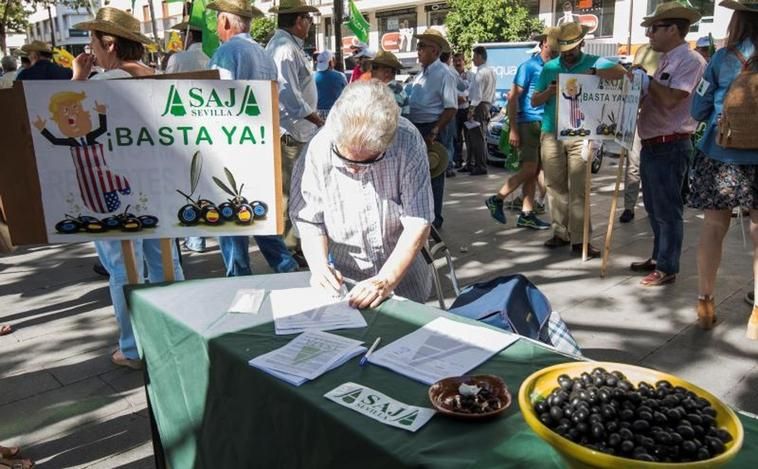 Revés para la aceituna negra española: la Justicia estadounidense avala el arancel impuesto en 2018