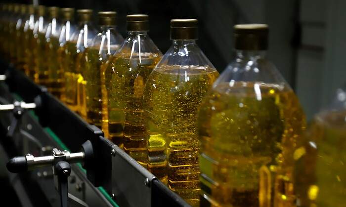 Dcoop anuncia una caída del 47% en la producción de aceite de oliva en 2022