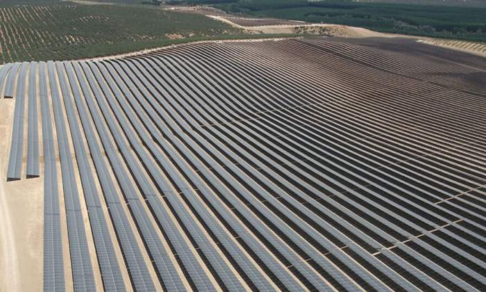 El sol de Granada da electricidad a 14 fábricas de cerveza de toda Europa con un VPPA