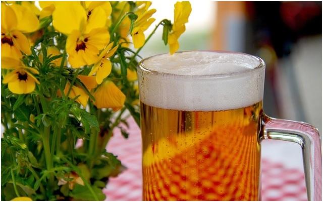 El pan duro se convierte en cerveza gracias a la iniciativa de unos emprendedores castellanos 