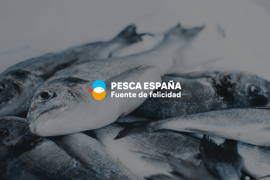 Nace Pesca España