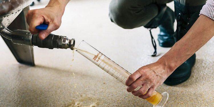 Más de la mitad de las cerveceras artesanales ve peligrar su viabilidad por el incremento de costes