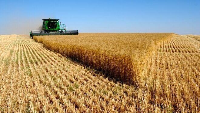 SICampo, el primer Salón Internaciónal del Campo, se celebrará en Madrid en 2023